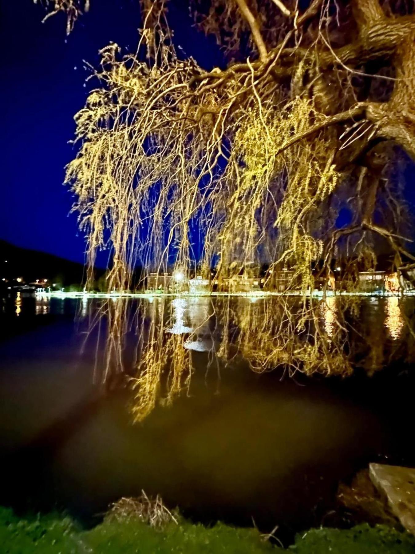 Pieds Dans L'Eau Private Wellness Bordure De Meuse Lustin Exterior foto